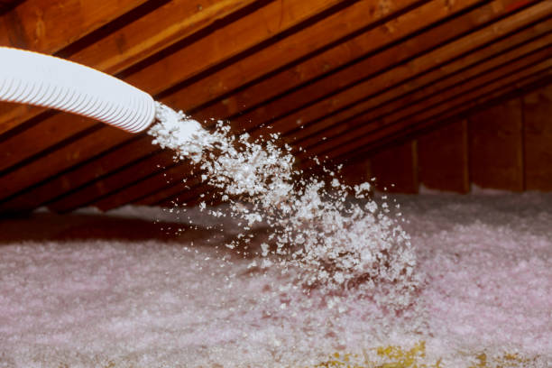 Types of Insulation We Offer in Arcola, IL