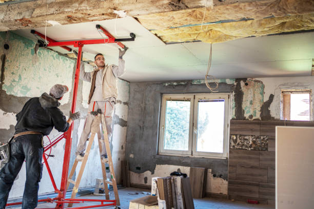 Best Residential Insulation in Arcola, IL