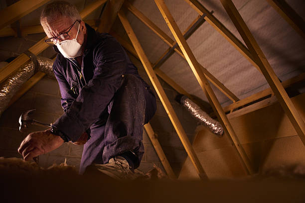 Professional Insulation Contractor in Arcola, IL